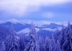 Góry, Lasy, Zima