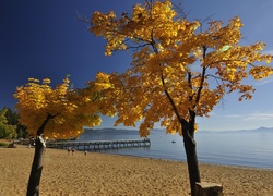 Plaża, Molo, Drzewa, Morze, Jesień