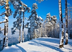 Góry, Ośnieżone, Drzewa, Światło, Zima