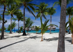 Ocean, Plaża, Palmy, Bungalow, Tropiki