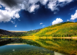 Jezioro, Odbicie, Lasy