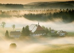 Domy, Mgła, Pola, Lasy