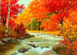 Jesienny, Las, Rzeka, Głazy