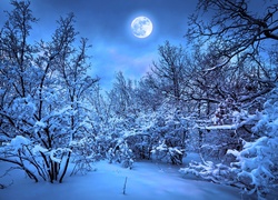 Zima, Drzewa, Księżyc