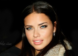 Adriana Lima, Aktorka, Modelka