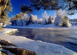Rzeka, Lód, Drzewa