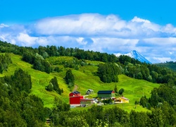 Góry, Lasy, Łąki, Zabudowania, Lato, Wzgórza