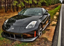 Nissan350Z, Las, Pobocze