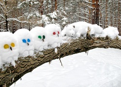 Powalone, Drzewo, Figury, Śniegowe, Sowy, Kot