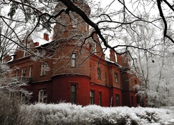 Budowla, Dom, Zima, Ośnieżone, Drzewa, Krzewy