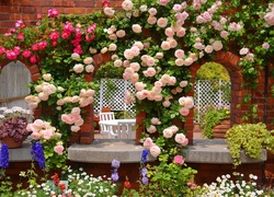 Ogród, Pnące, Róże, Altanka