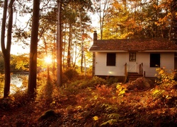Jesień, Domek, Las, Przebijające, Światło