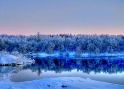 Jezioro, Odbicie, Las