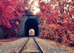 Tunel, Tory, Kolejowe, Drzewa, Liście, Jesień