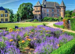 Zamek Linn, Burg Linn, Miejscowość Krefeld, Nardenia Północna-Westfalia, Niemcy, Ogród, Lawenda