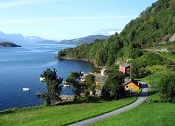 Hardangerfjord, Domy, Droga, Zalesione, Wzgórza