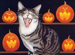 Halloween, Kot,dynie