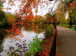 Park, Aleja, Staw, Ławki, Jesień, Drzewa