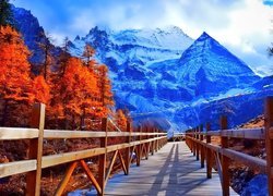 Drewniany, Most, Góry, Śnieg, Rzeka, Jesień, Drzewa