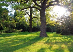 Park, Promienie Słońca