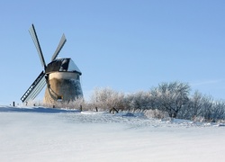 Wiatrak, Śnieg, Drzewa