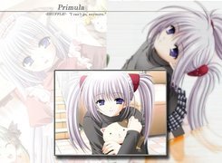 Shuffle, Primula, kucyki