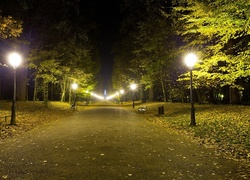 Park, Drzewa, Alejka, Oświetlenie