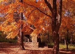 Park, Domek, Ławki, Liście, Jesień