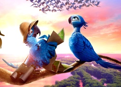 Film, Animowany, Rio 2, Papugi