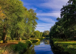 Lato, Park, Rzeka, Zieleń