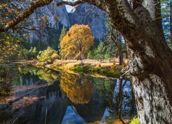 Stany Zjednoczone, Stan Kalifornia, Park Narodowy Yosemite, Góry, Rzeka, Jesień, Drzewa