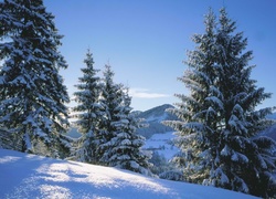 Góry, Śnieg, Drzewa