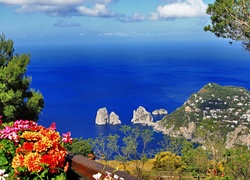 Morze, Skały, Kwiatki, Capri