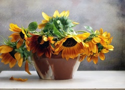 Słoneczniki, Reprodukcja, Obrazu