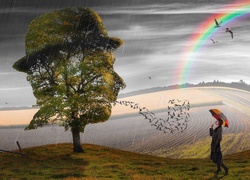 Grafika, Drzewo, Ptaki, Tęcza, Dziewczyna, Deszcz, Parasolka