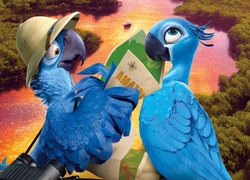 Rio2, Papużki, Rzeczka, Kapelusz