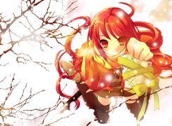 Shakugan No Shana, kokarda, drzewo