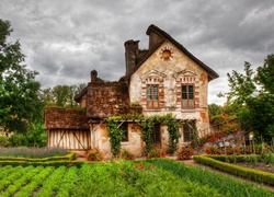 Stary, Dom, Ogród