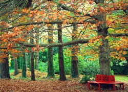 Park, Ławka, Drzewa, Liście, Jesień