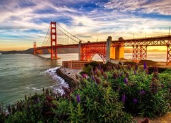 Rzeka, Most Golden Gate, Zachód Słońca, Łubiny