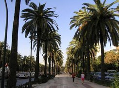 Malaga, Ulica, Budynki, Palmy