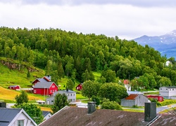 Góry, Lasy, Domy, Północna Norwegia