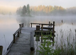 Jezioro, Mgła, Drewniane, Molo, Trawy