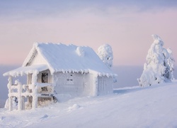 Ośnieżony, Domek, Drzewa, Śnieg