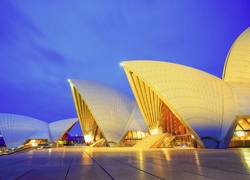 Australia, Sydney, Oświetlona, Sydney Opera House