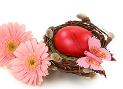 Wielkanoc, Gniazdo, Kolorowe, Jajko, Różowe, Gerbery, Motylek