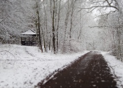 Droga, Drzewa, Budka, Śnieg