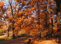 Rzeczka, Mostek, Alejki, Ławka, Park, Jesień