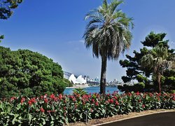 Park, Panorama, Sydney