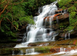 Brisbane Water National Park, Nowa Południowa Walia